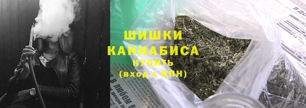 гидра Белокуриха