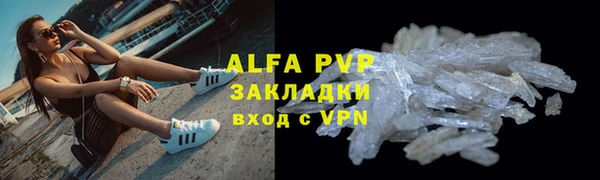 гидра Белокуриха