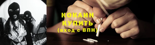 гидра Белокуриха